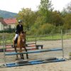 Babie Lato 2016